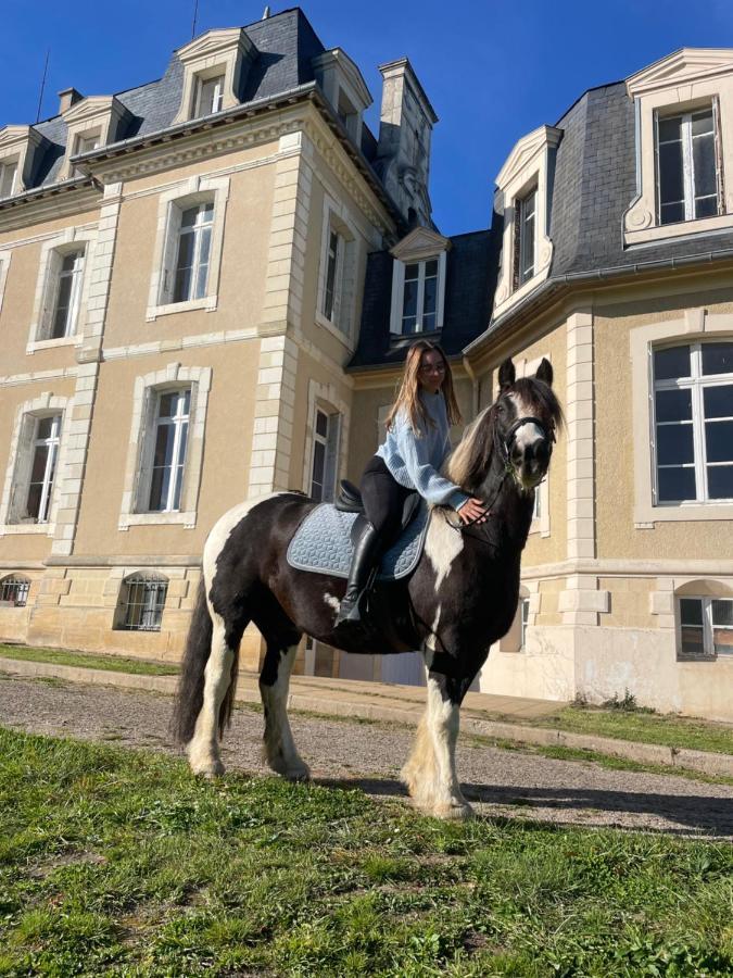 Chateau De La Bouchatte Chambre Les Roses Chazemais Екстериор снимка